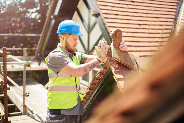 Best Roof Gutter Cleaning  in Unt Vernon, MO