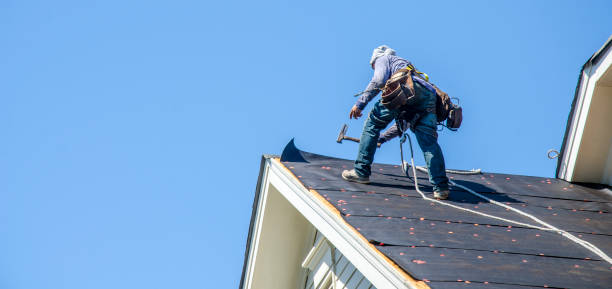 Best Metal Roofing Contractor  in Unt Vernon, MO